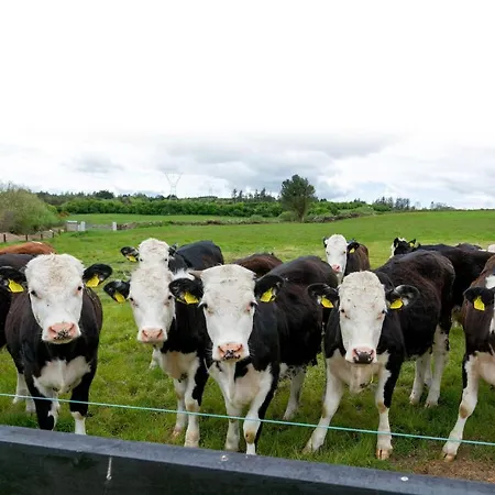 Nyaraló Ballymacooda House Dromadrehid